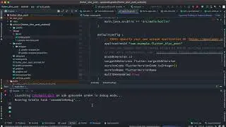 Flutter MultiDex | a failure occurred while executing com.android.build.gradle.internal.tasks..
