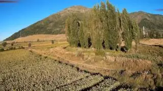 Palmilla, Molina Chile. Potrero la carcel.