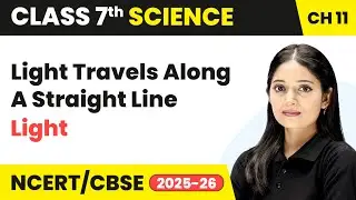 Light Travels Along a Straight Line - Light | Class 7 Science Chapter 11 | CBSE 2024-25