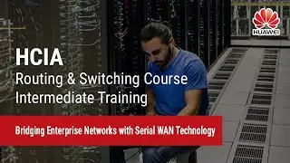 2.1 Bridging Enterprise Networks with Serial WAN Technology   2 1 Bridging Enterprise Networks with