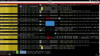 16. Bypassing HSTS 🚨 | How Hackers Defeat HTTP Strict Transport Security (Ethical Hacking Lab)