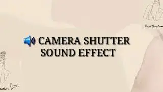 CAMERA SHUTTER SOUND EFFECT | NO COPYRIGHT