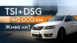 Шкода Октавия А7 с пробегом 160 000 км. Что с ней было?