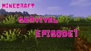 Minecraft survival episode 1