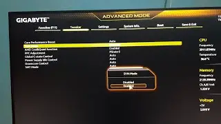 Hardware Virtualization in AMD Machine with Gigabyte Mother Board