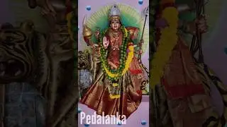 దసరా శుభాకాంక్షలు🙏 #durgadevi #durgamma #happydasara #trending #viral #ytshorts #Dsc #love #job