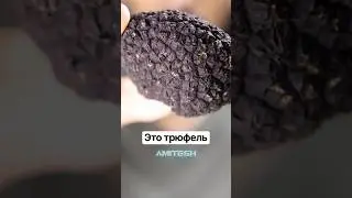 Почему трюфель такой дорогой? #амитеш #еда
