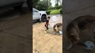 Dad catches dog playing soccer with son then this happens #shorts