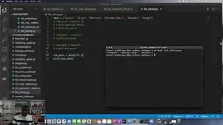 Python Programming 84 : Slicing Lists With Negative Indices