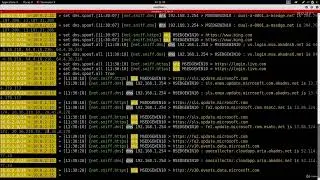 17. DNS Spoofing 🎯 | Redirecting Traffic with Man-in-the-Middle Attacks (Ethical Hacking Lab)