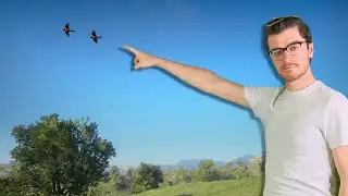 Where Do Red Dead Redemption 2's Birds Go?