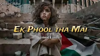 Ek phool tha mai!🥺❤️‍🩹🇵🇸