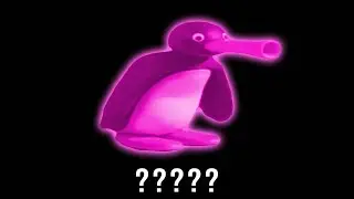 15 Pingu 