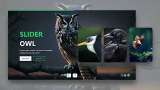 Responsive and Automatic Changeable Animated Image Slider using HTML, CSS & JavaScript | Carousel