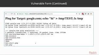 Binary Exploits with Python :  Ping Form (with Challenge)   | packtpub.com
