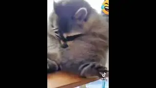 Шёл пятый день праздника:))))