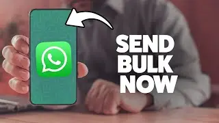How To Send Bulk Messages On WhatsApp 2025 (iPhone & Android)