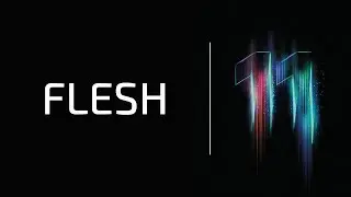 KOMPLETE 11 ULTIMATE - New Additions: FLESH