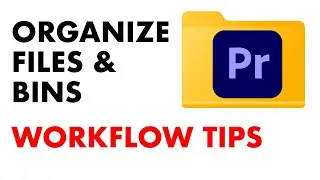 How To Organize & Create Bins Inside Premiere Pro