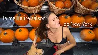 La journée d'automne parfaite à New York: