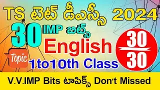 Ts Tet Dsc 2024 English Imp Bits Answers | Ts Tet Model Papers 2024 | Ts Dsc Model Papers 2024