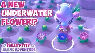 Anemones: All you need to know about these new flowers! Hello Kitty Island Adventure