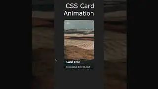 Custom Card Animation using HTML and CSS 