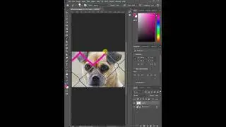 How to Remove Fence From Dog Face in Photoshop #shorts #shortvideo #viralshorts #viralreels