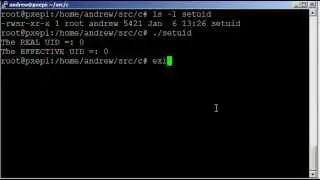 Linux Permissions and using C programming to understand the SUID bit on the Raspberry Pi