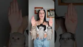 SONO ESAURITA 🫠