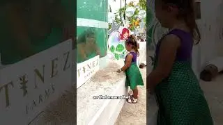 Mermaid inspire children to care about the oceans 🧜🏻‍♀️😍 #shortvideo