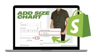 How to Add Size Chart in Shopify (NO CODE)