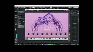 CUBASE DANCE BEAT  EP 31