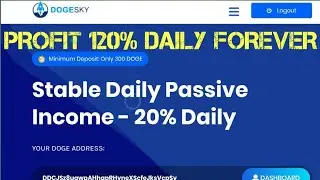 Review DogeSky Profit 120%