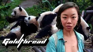 How Pandas Are Cute Friends and Diplomatic Agents
