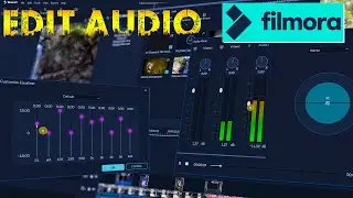 How to Edit Audio in Filmora 9 Urdu Hindi