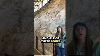 Taking a Look At DINOSAUR Bones! #shorts