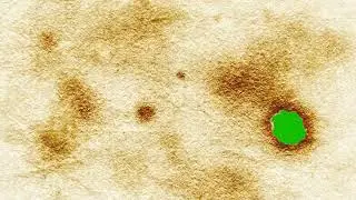 Paper burning green screen animation effect || Green Screen Effect
