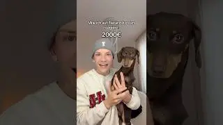 Peppy Tierarzt Geld