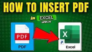 How to Insert PDF File in Excel Spreadsheet