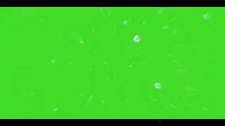 Green screen raindrops from sky