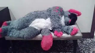 Why You Should: Be A Furry
