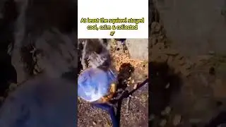 This Squirrel is NUTS 🥜 