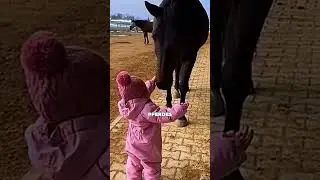 🐴🥹 Dieses Kleine Kind Ging Auf das Pferd Zu… Seine Reaktion War Unfassbar! ❤️✨