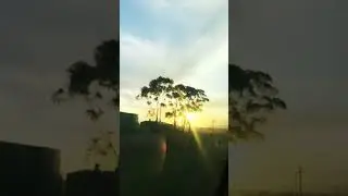 মেলবোর্ন বিকাল বেলা 🇦🇺 | Sunset in Melbourne 