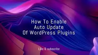 How to Enable Wordpress Plugin Auto Update