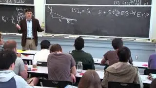 Input Function, Michaelis-Menten kinetics, and Cooperativity