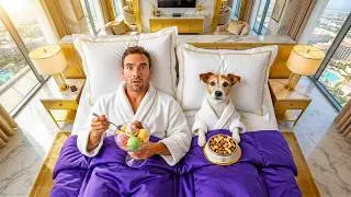 I Tested 5-Star Hotels Made For Dogs