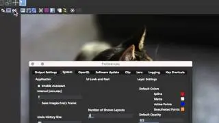 Tutorial: Customizing mocha Preferences