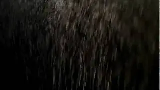 Dust Particles 02 - Free Footage - Full HD 1080p